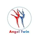 Angel Twin AI
